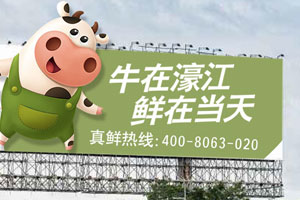 品牌設(shè)計(jì)怎么去創(chuàng)建有營銷力的吉祥物