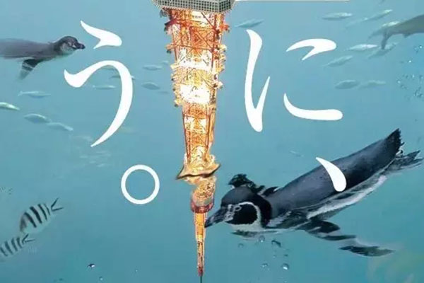 0.5秒勝出的海報(bào)是怎樣的？