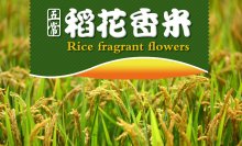 廣州品牌設計要善于利用競爭